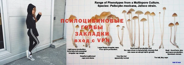 spice Лихославль