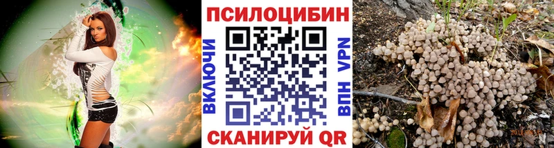 Псилоцибиновые грибы Psilocybe  Купить  Октябрьск 